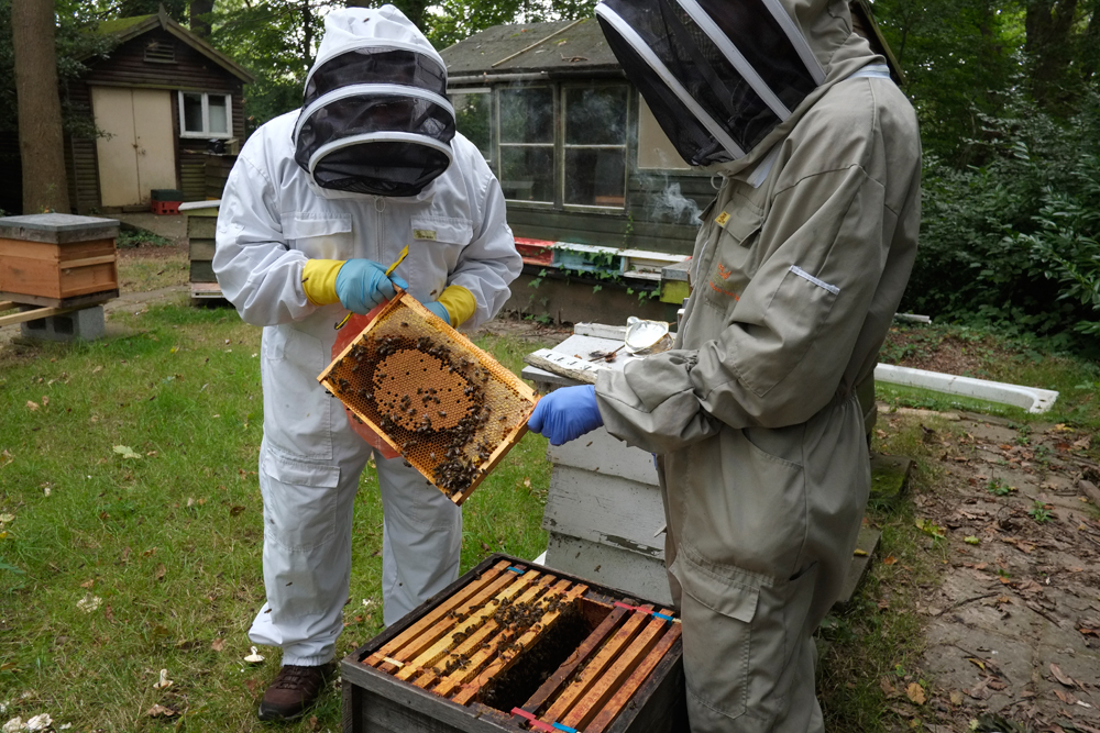 Hilbert Road Apiary